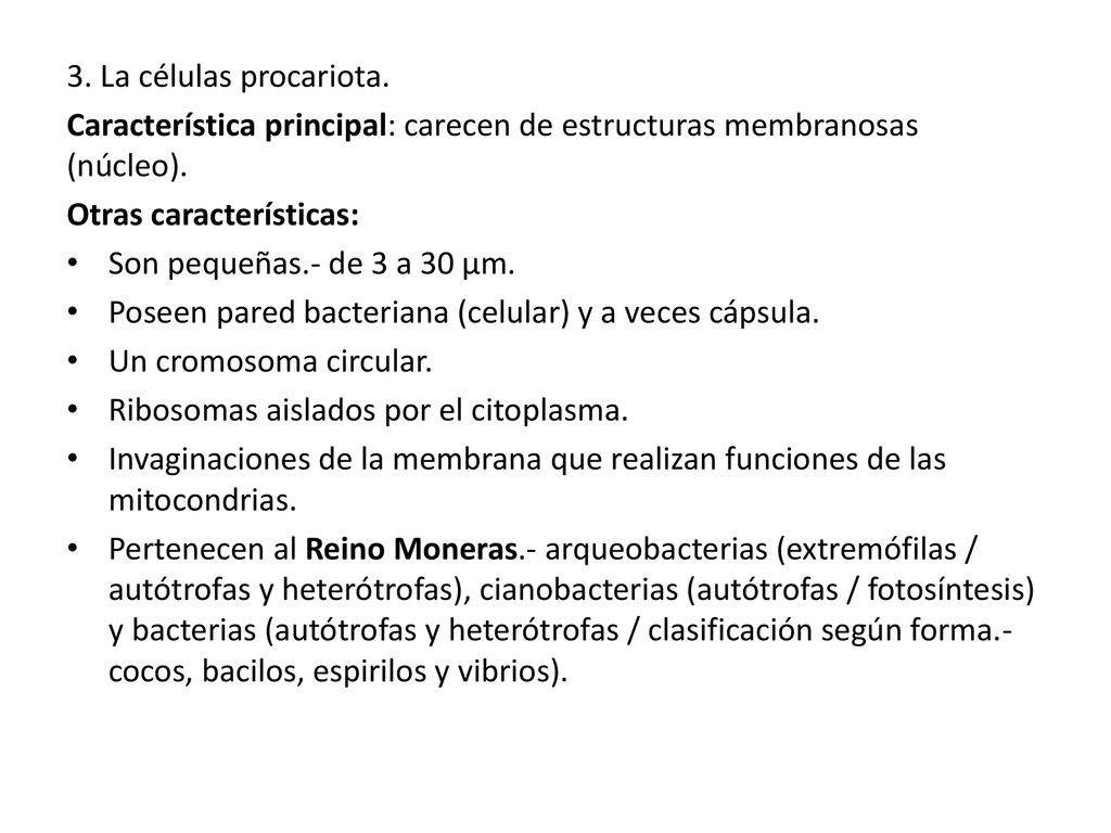 3. La células procariota. Característica principal: carecen de estructuras membranosas (núcleo). Otras características: