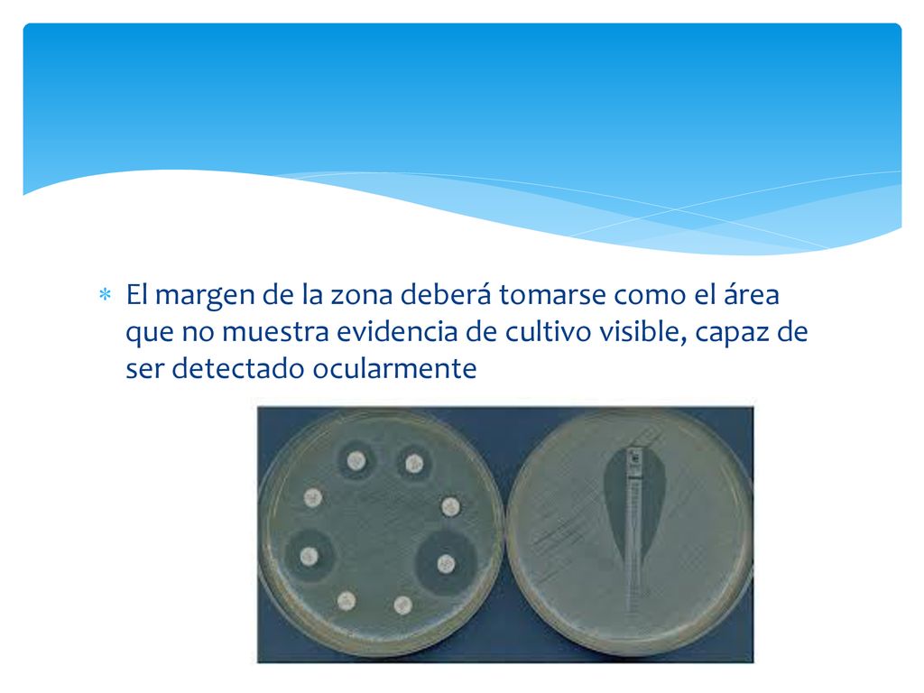 El margen de la zona deberá tomarse como el área que no muestra evidencia de cultivo visible, capaz de ser detectado ocularmente
