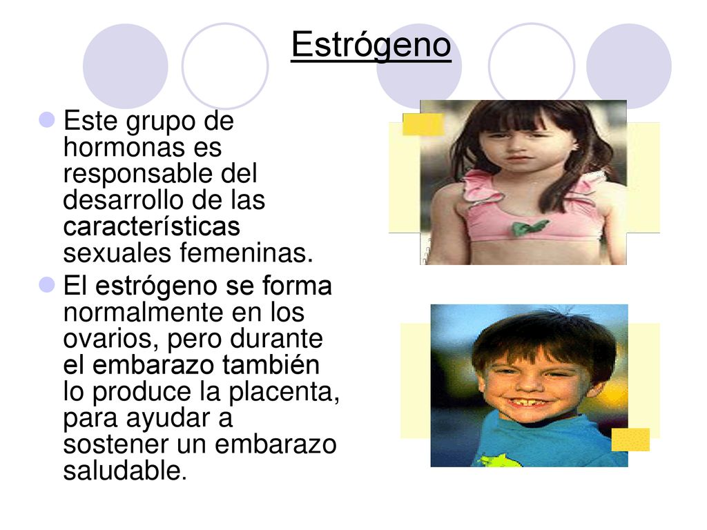 Estrógeno Este grupo de hormonas es responsable del desarrollo de las características sexuales femeninas.
