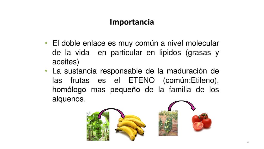 Importancia El doble enlace es muy común a nivel molecular de la vida en particular en lipidos (grasas y aceites)