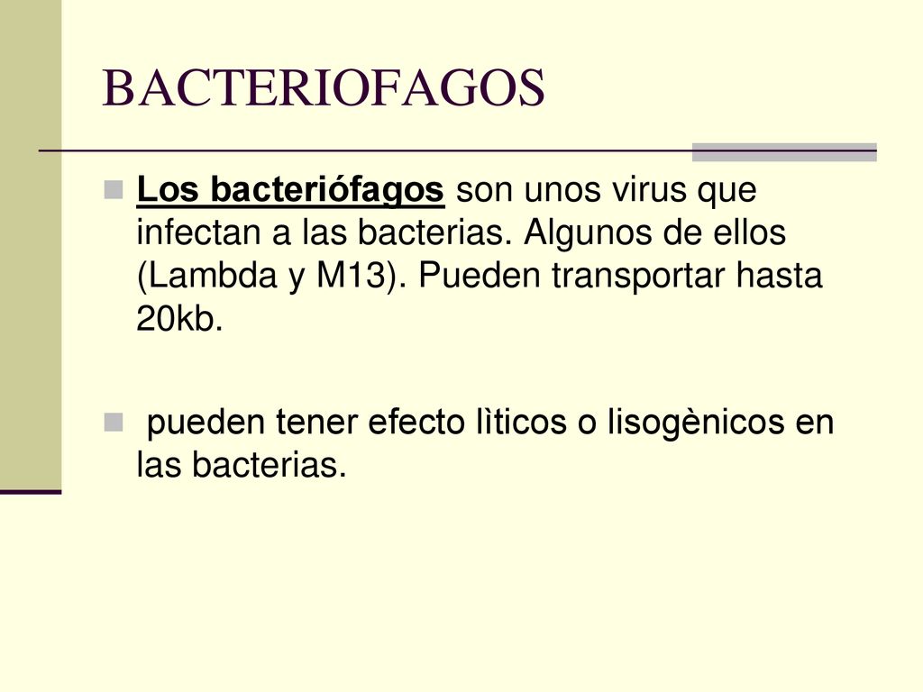BACTERIOFAGOS Los bacteriófagos son unos virus que infectan a las bacterias. Algunos de ellos (Lambda y M13). Pueden transportar hasta 20kb.