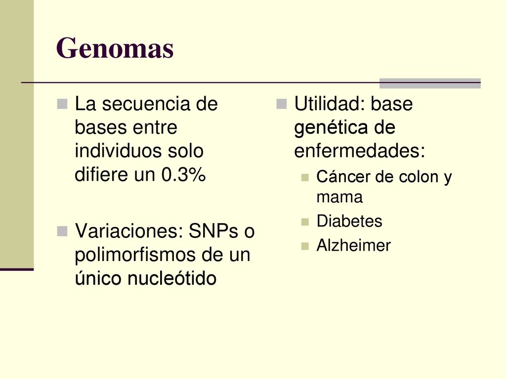 Genomas La secuencia de bases entre individuos solo difiere un 0.3%