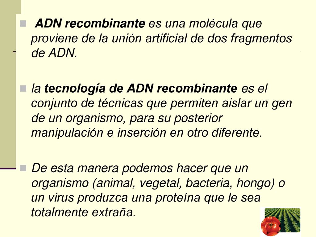 ADN recombinante es una molécula que proviene de la unión artificial de dos fragmentos de ADN.