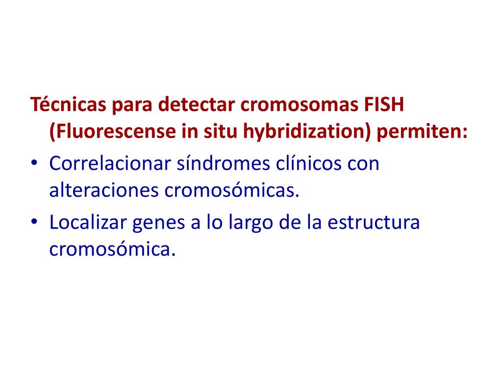Técnicas para detectar cromosomas FISH (Fluorescense in situ hybridization) permiten: