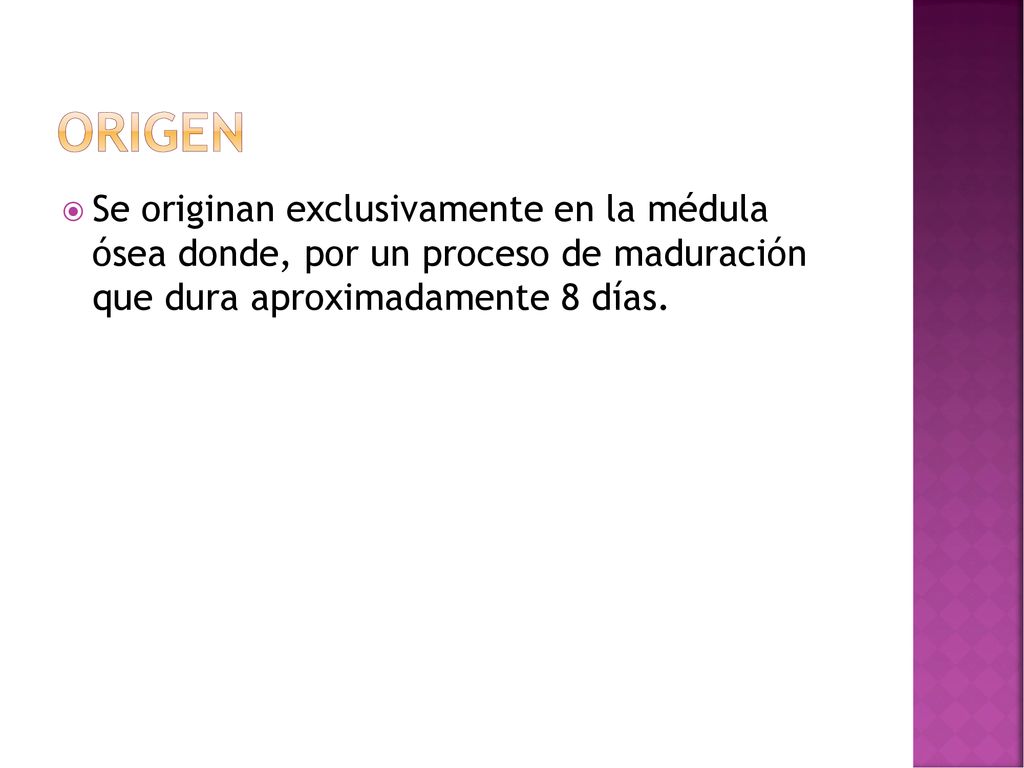 Origen Se originan exclusivamente en la médula ósea donde, por un proceso de maduración que dura aproximadamente 8 días.