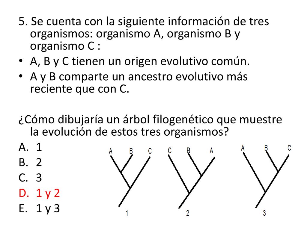 5. Se cuenta con la siguiente información de tres organismos: organismo A, organismo B y organismo C :