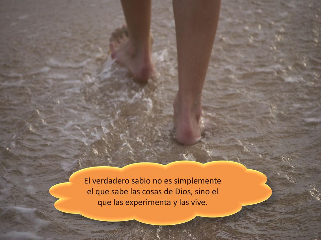 El verdadero sabio no es simplemente el que sabe las cosas de Dios, sino el que las experimenta y las vive.