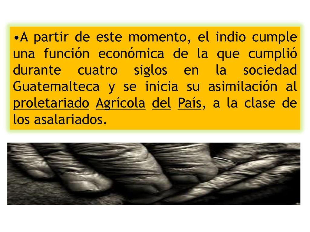 A partir de este momento, el indio cumple una función económica de la que cumplió durante cuatro siglos en la sociedad Guatemalteca y se inicia su asimilación al proletariado Agrícola del País, a la clase de los asalariados.