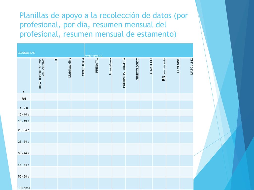 Planillas de apoyo a la recolección de datos (por profesional, por día, resumen mensual del profesional, resumen mensual de estamento)