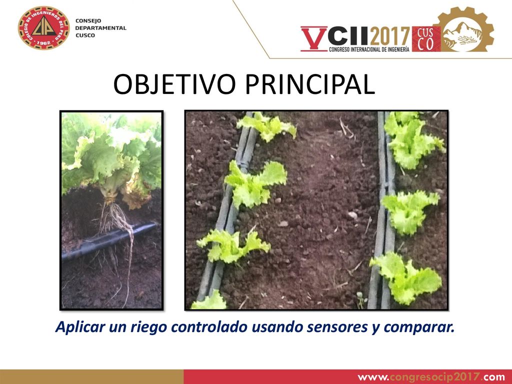 OBJETIVO PRINCIPAL Aplicar un riego controlado usando sensores y comparar.