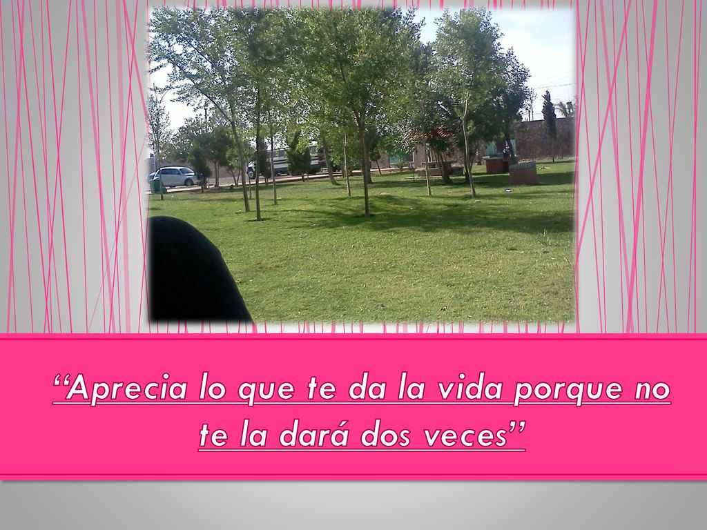 Aprecia lo que te da la vida porque no te la dará dos veces