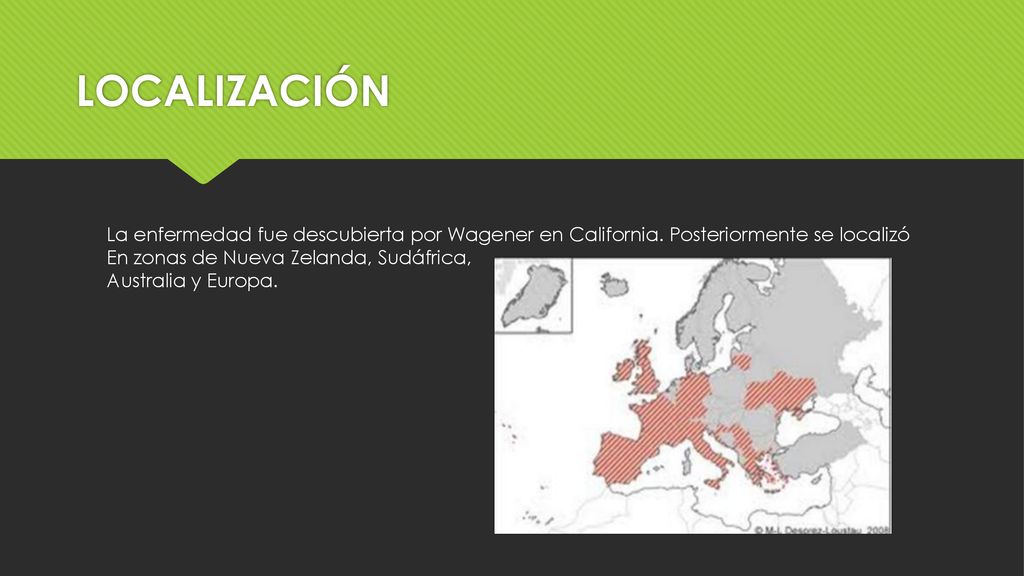 LOCALIZACIÓN La enfermedad fue descubierta por Wagener en California. Posteriormente se localizó. En zonas de Nueva Zelanda, Sudáfrica,