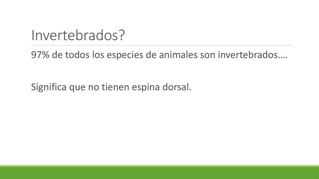 Invertebrados. 97% de todos los especies de animales son invertebrados….