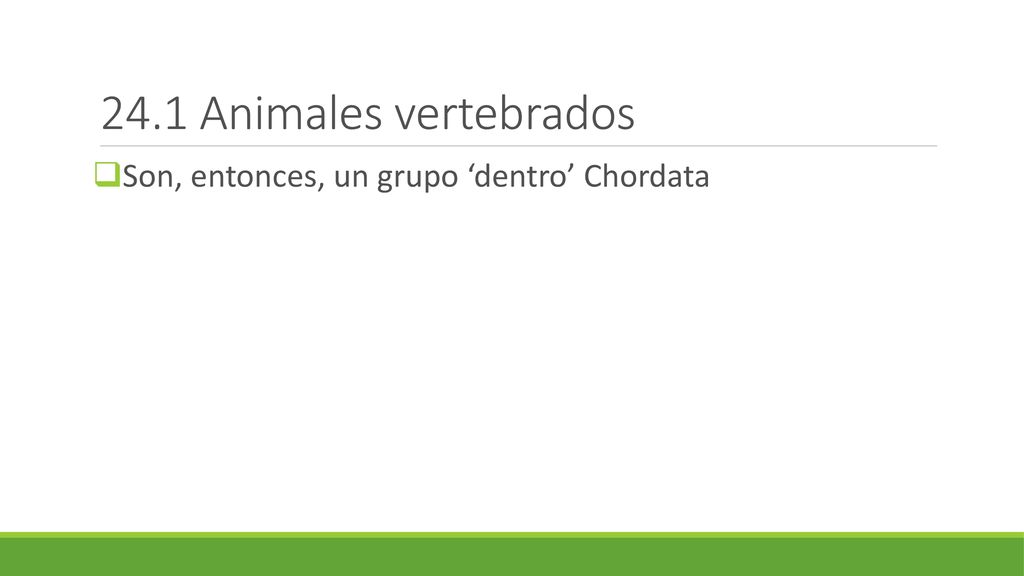 24.1 Animales vertebrados Son, entonces, un grupo ‘dentro’ Chordata