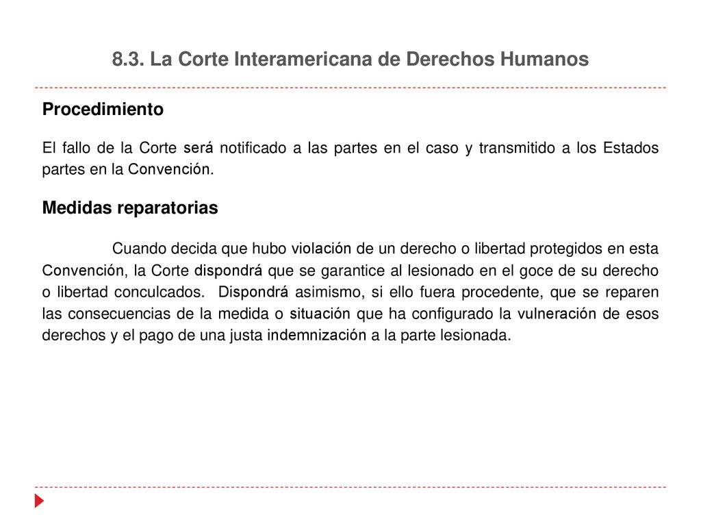 8.3. La Corte Interamericana de Derechos Humanos