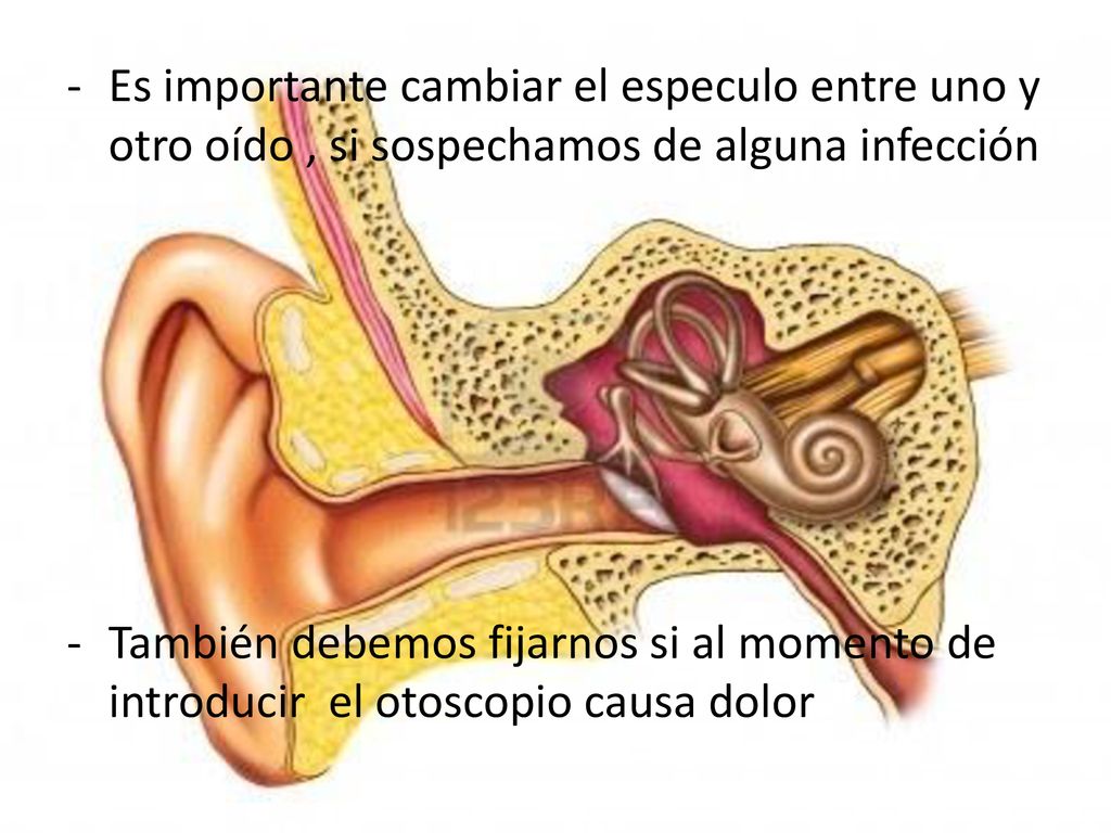 Es importante cambiar el especulo entre uno y otro oído , si sospechamos de alguna infección