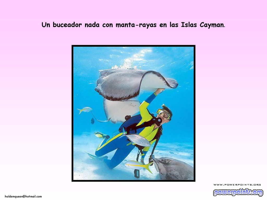 Un buceador nada con manta-rayas en las Islas Cayman.