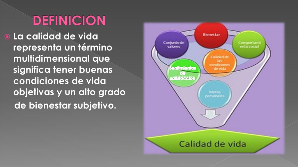 DEFINICION La calidad de vida representa un término multidimensional que significa tener buenas condiciones de vida objetivas y un alto grado.
