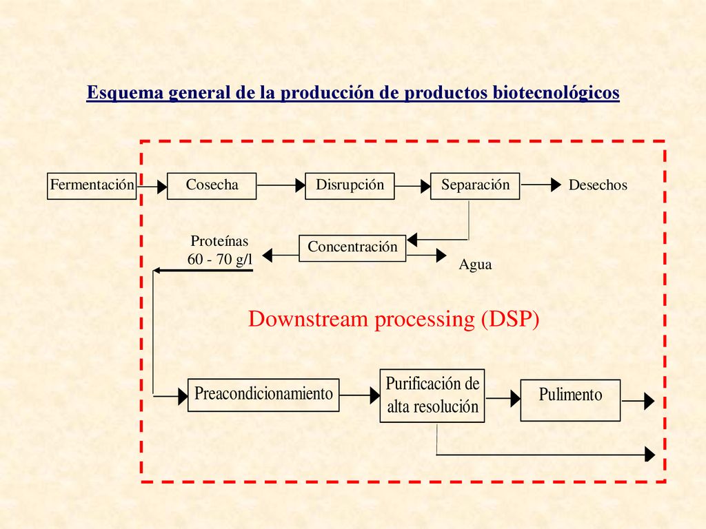 Esquema general de la producción de productos biotecnológicos