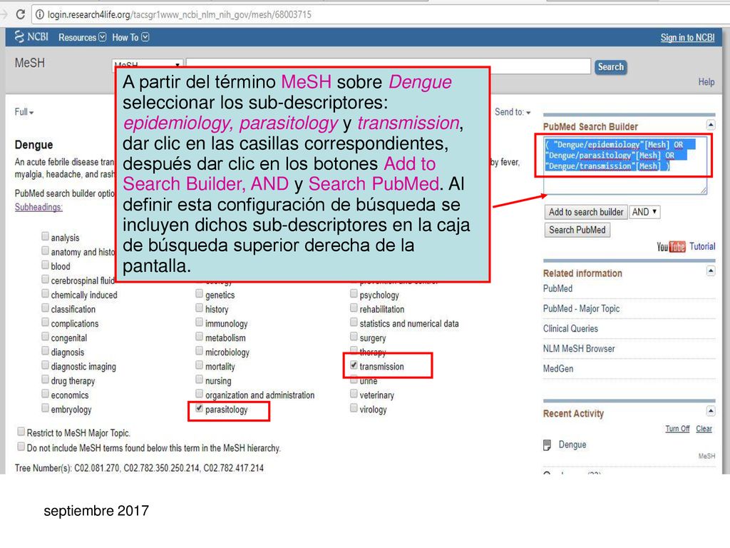 A partir del término MeSH sobre Dengue seleccionar los sub-descriptores: epidemiology, parasitology y transmission, dar clic en las casillas correspondientes, después dar clic en los botones Add to Search Builder, AND y Search PubMed. Al definir esta configuración de búsqueda se incluyen dichos sub-descriptores en la caja de búsqueda superior derecha de la pantalla.