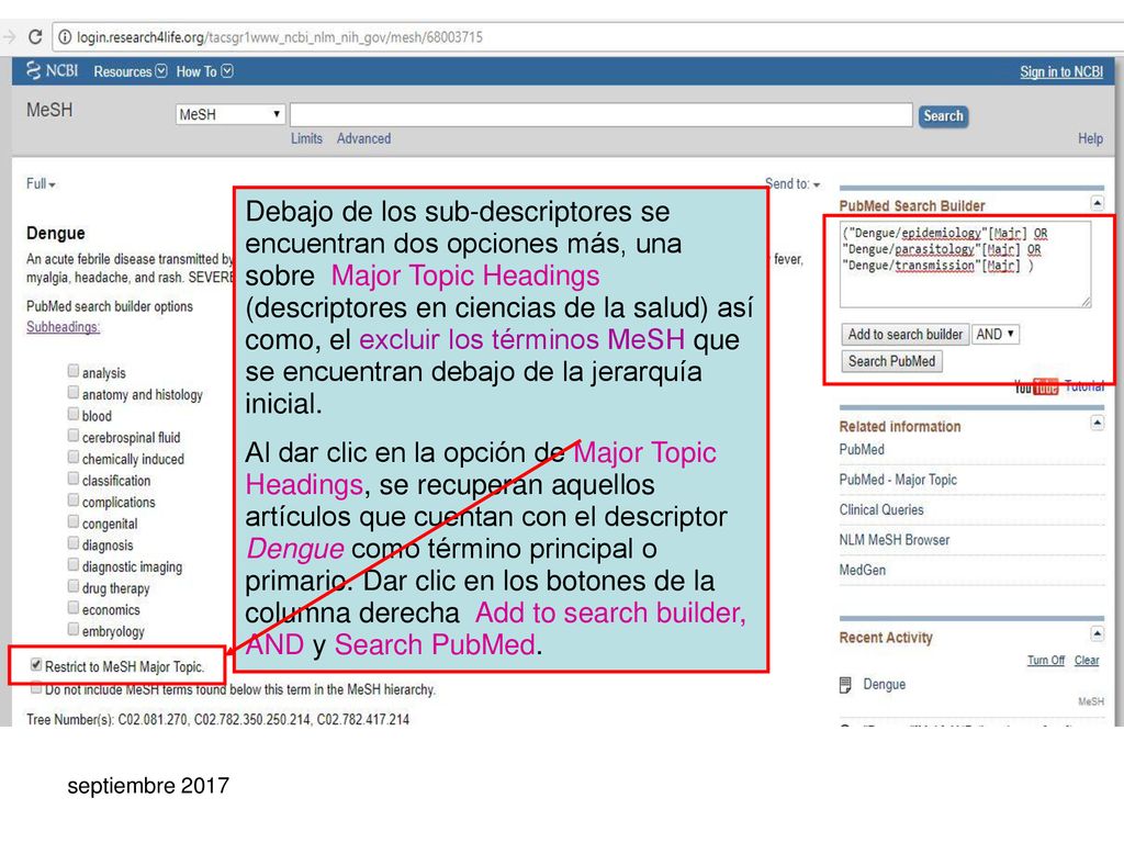 Debajo de los sub-descriptores se encuentran dos opciones más, una sobre Major Topic Headings (descriptores en ciencias de la salud) así como, el excluir los términos MeSH que se encuentran debajo de la jerarquía inicial.