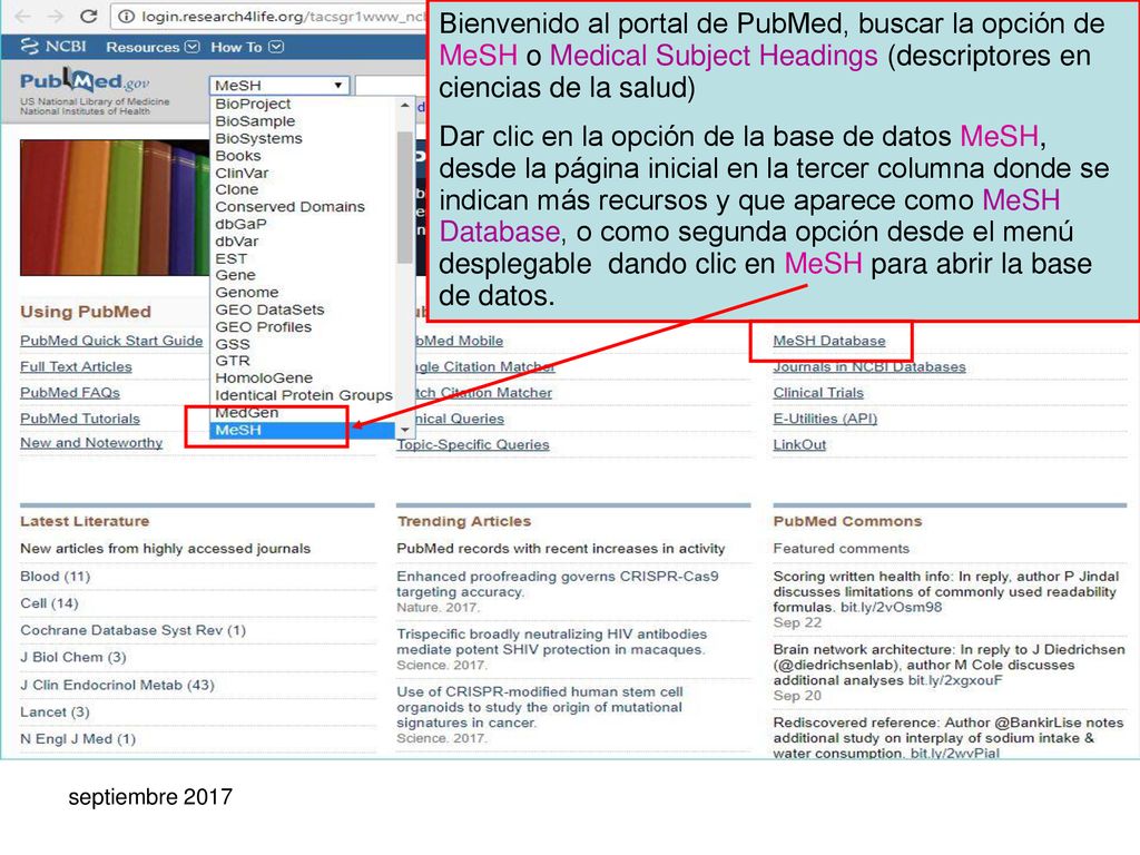 Bienvenido al portal de PubMed, buscar la opción de MeSH o Medical Subject Headings (descriptores en ciencias de la salud)