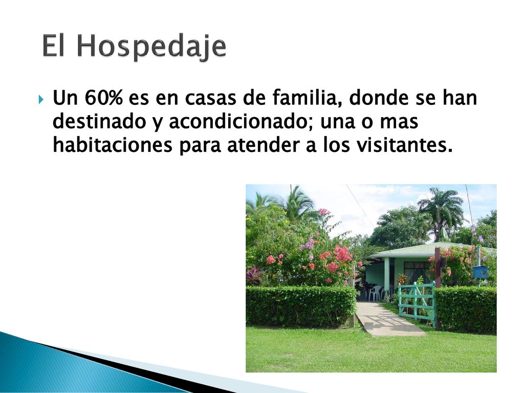 El Hospedaje Un 60% es en casas de familia, donde se han destinado y acondicionado; una o mas habitaciones para atender a los visitantes.