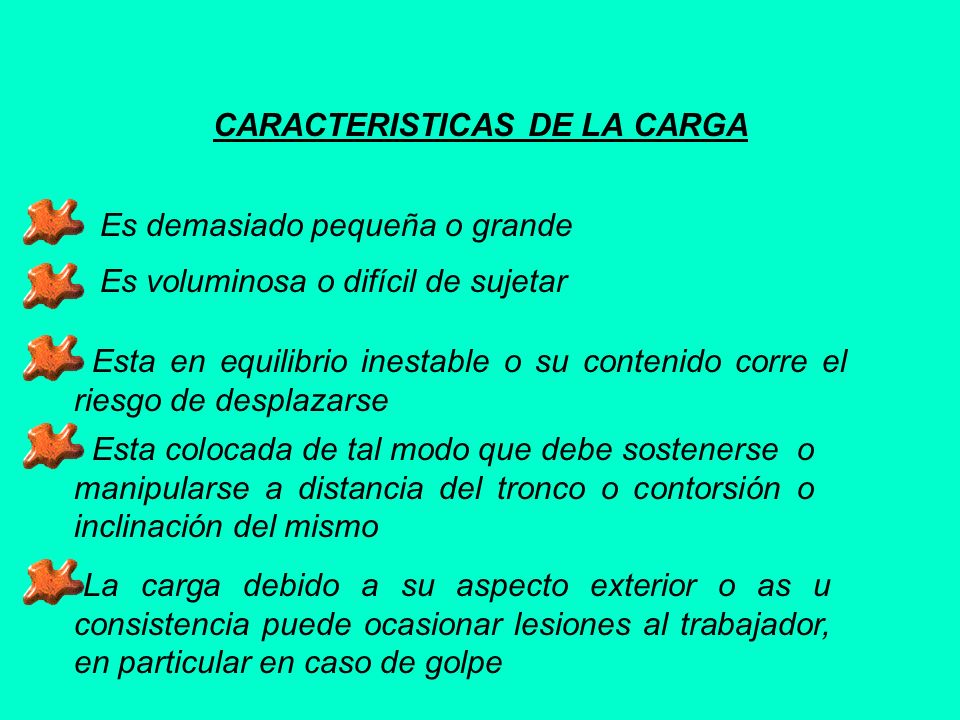 CARACTERISTICAS DE LA CARGA