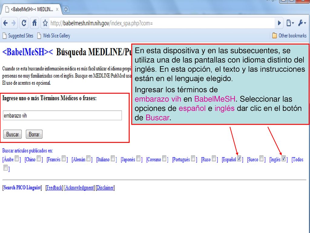 En esta dispositiva y en las subsecuentes, se utiliza una de las pantallas con idioma distinto del inglés. En esta opción, el texto y las instrucciones están en el lenguaje elegido.