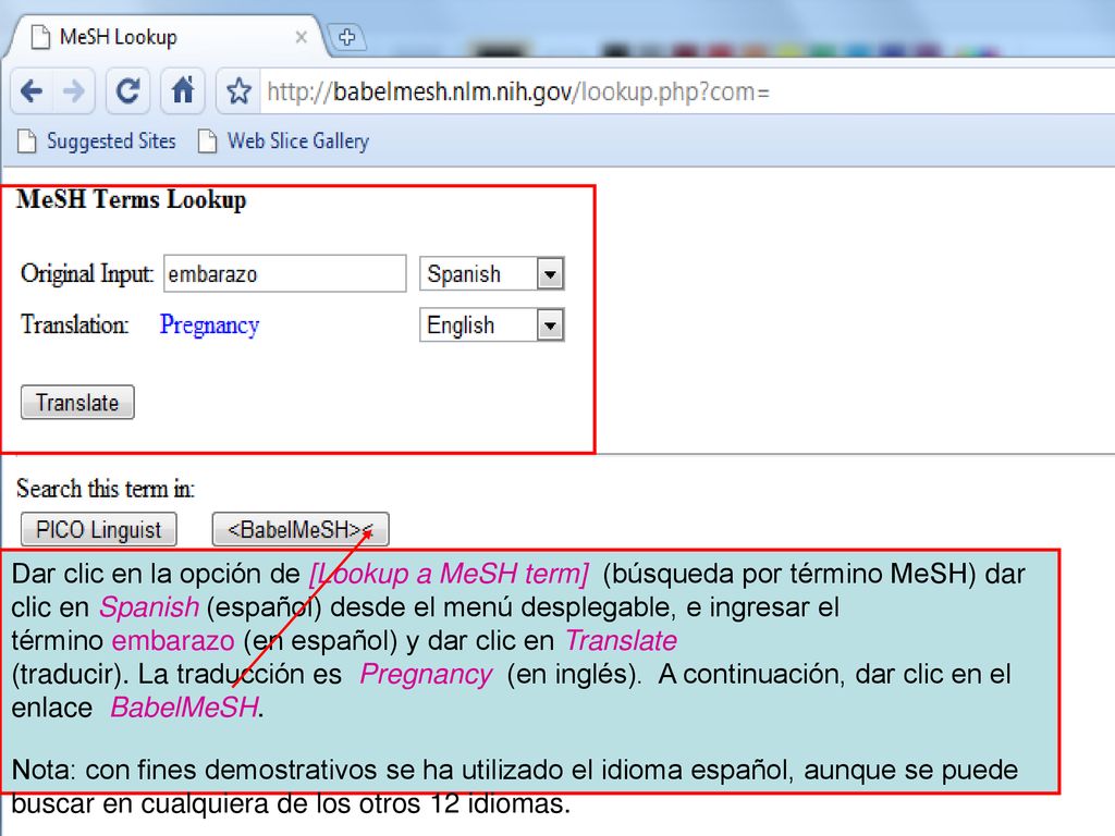 Dar clic en la opción de [Lookup a MeSH term] (búsqueda por término MeSH) dar clic en Spanish (español) desde el menú desplegable, e ingresar el término embarazo (en español) y dar clic en Translate (traducir). La traducción es Pregnancy (en inglés). A continuación, dar clic en el enlace BabelMeSH.