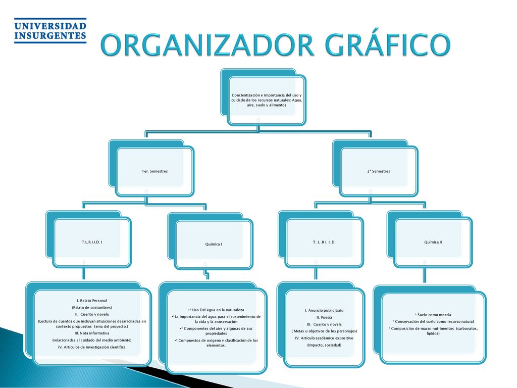 ORGANIZADOR GRÁFICO Concientización e importancia del uso y cuidado de los recursos naturales: Agua, aire, suelo y alimentos.