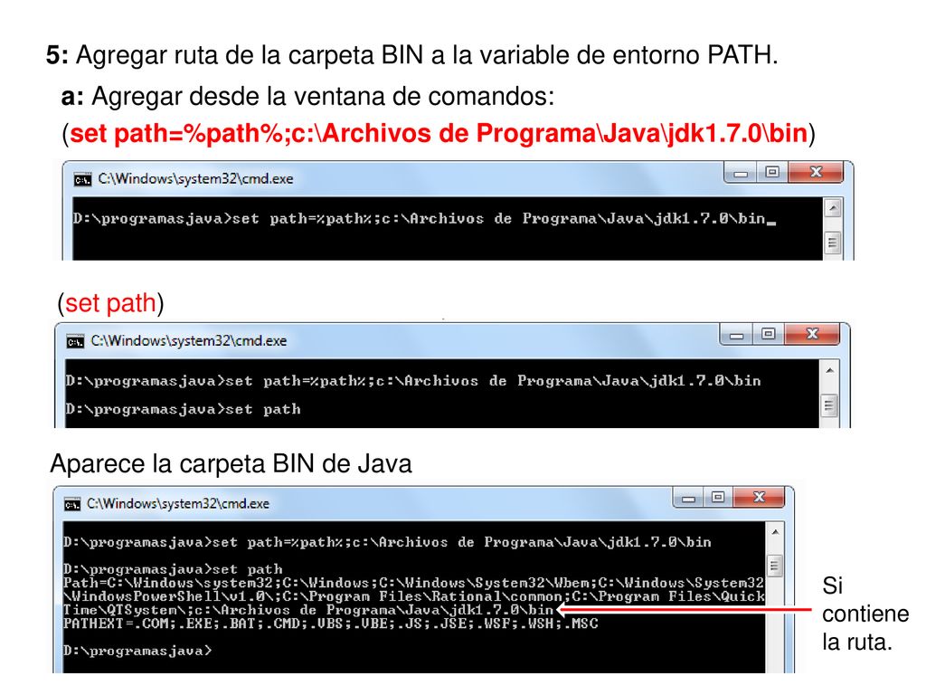 5: Agregar ruta de la carpeta BIN a la variable de entorno PATH.