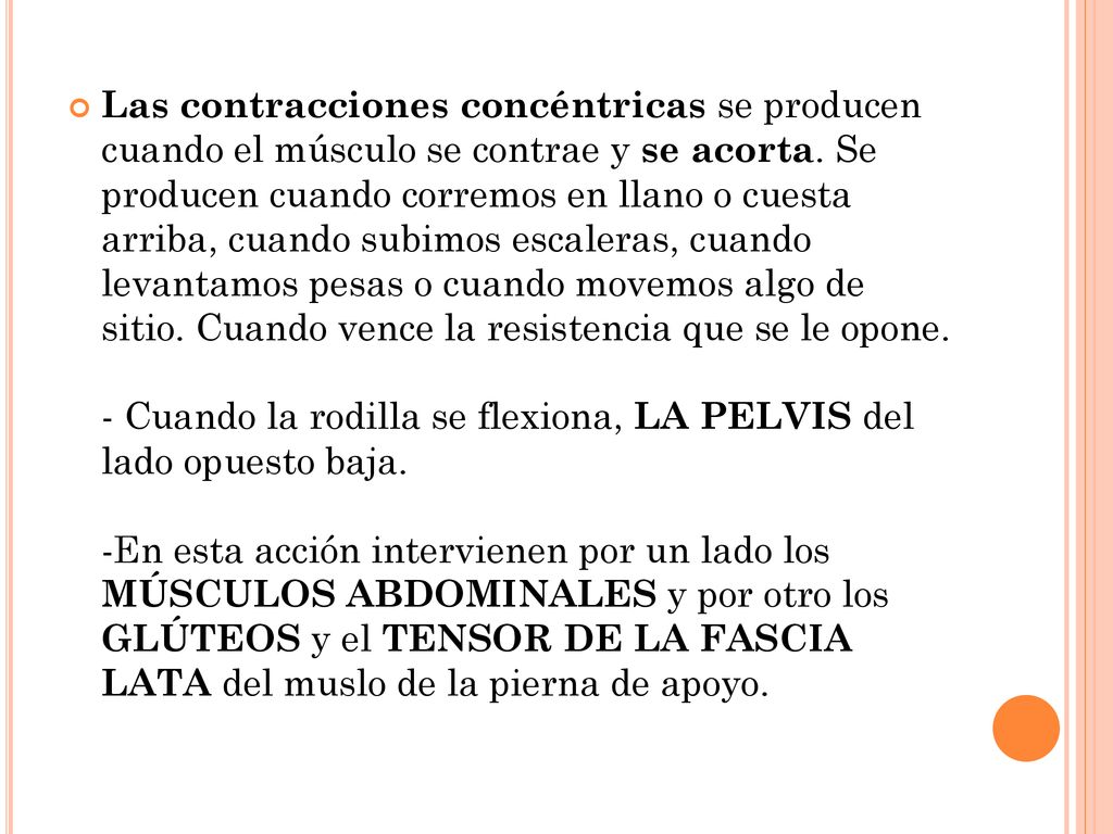 Las contracciones concéntricas se producen cuando el músculo se contrae y se acorta.