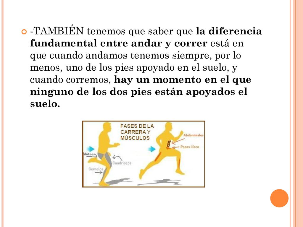 -TAMBIÉN tenemos que saber que la diferencia fundamental entre andar y correr está en que cuando andamos tenemos siempre, por lo menos, uno de los pies apoyado en el suelo, y cuando corremos, hay un momento en el que ninguno de los dos pies están apoyados el suelo.