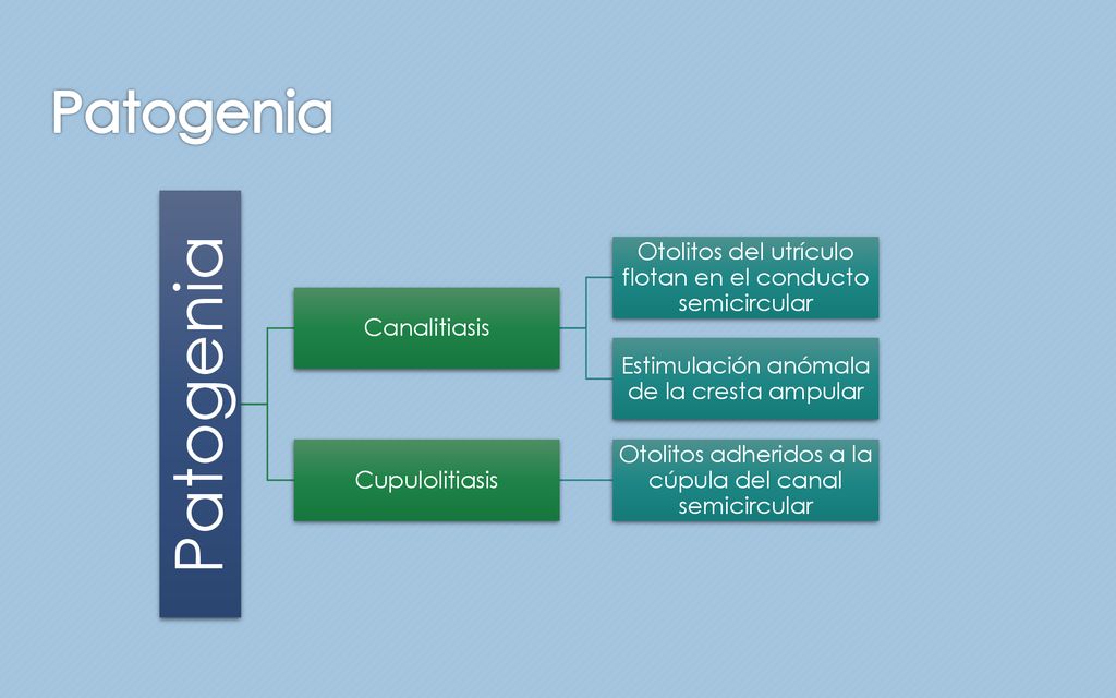 Patogenia Patogenia. Canalitiasis. Otolitos del utrículo flotan en el conducto semicircular. Estimulación anómala de la cresta ampular.