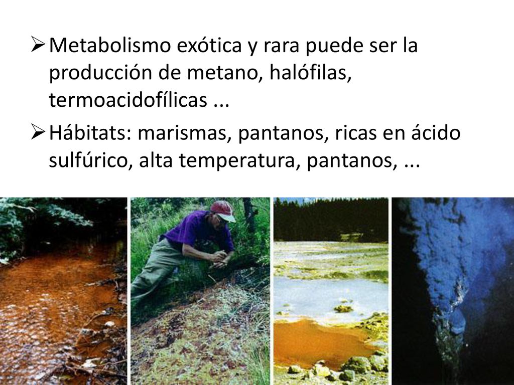 Metabolismo exótica y rara puede ser la producción de metano, halófilas, termoacidofílicas ...