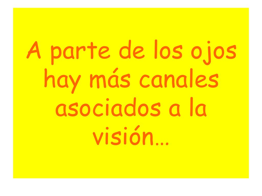 A parte de los ojos hay más canales asociados a la visión…