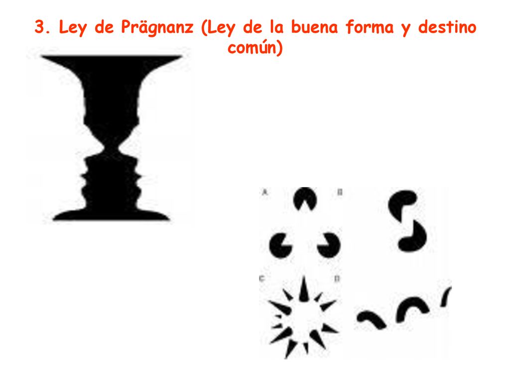 3. Ley de Prägnanz (Ley de la buena forma y destino común)