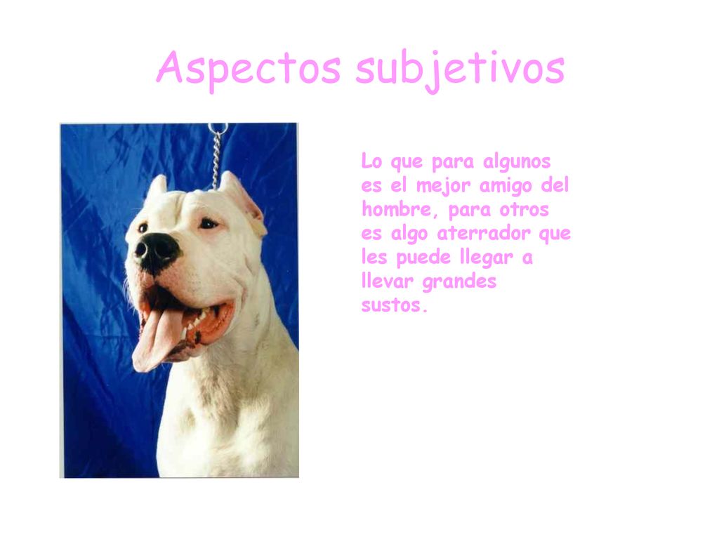 Aspectos subjetivos Lo que para algunos es el mejor amigo del hombre, para otros es algo aterrador que les puede llegar a llevar grandes sustos.