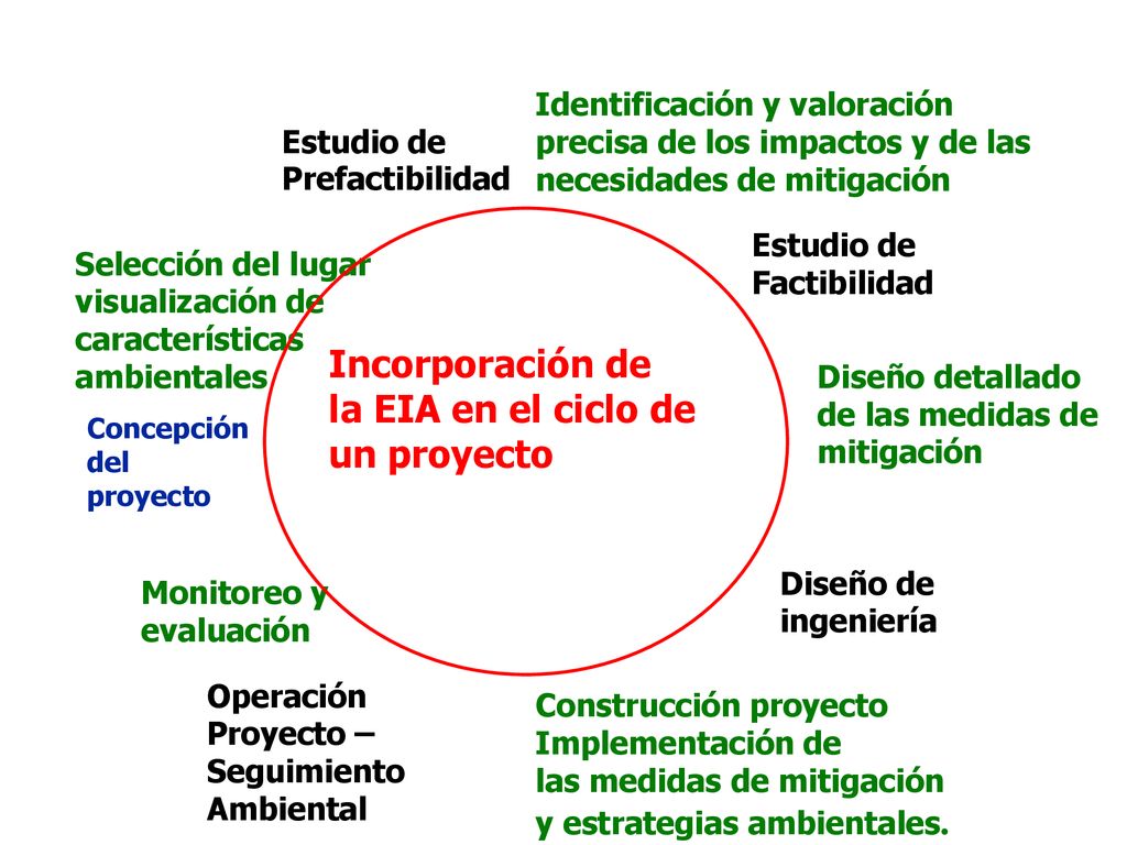 Incorporación de la EIA en el ciclo de un proyecto