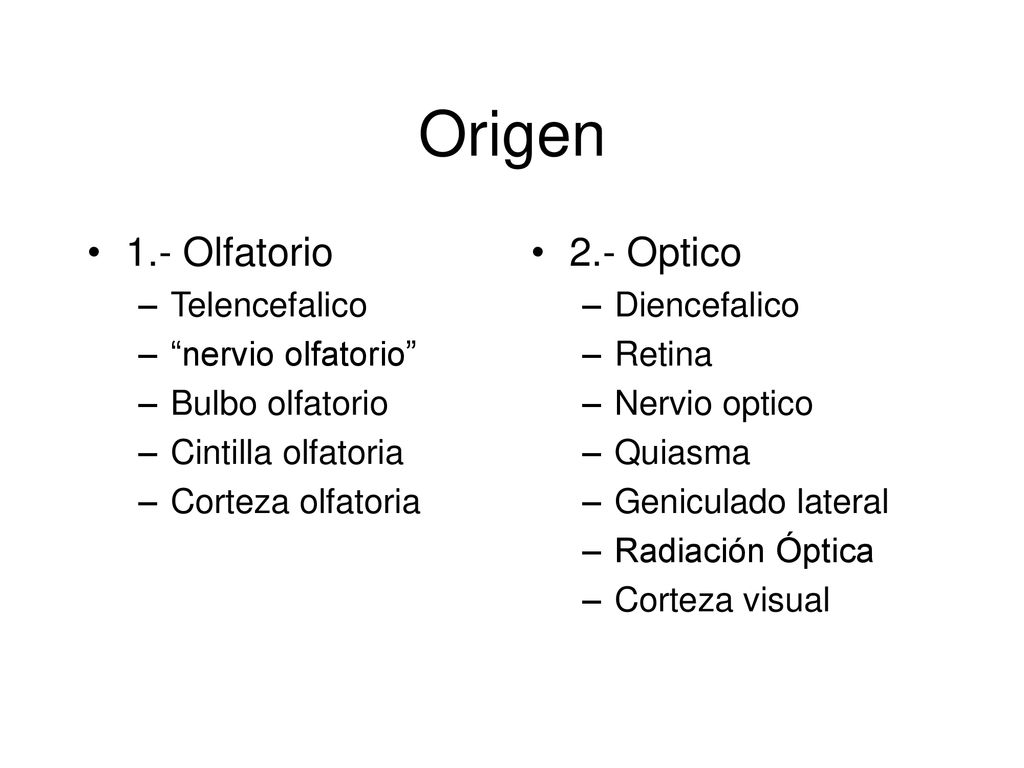 Origen 1.- Olfatorio 2.- Optico Telencefalico nervio olfatorio