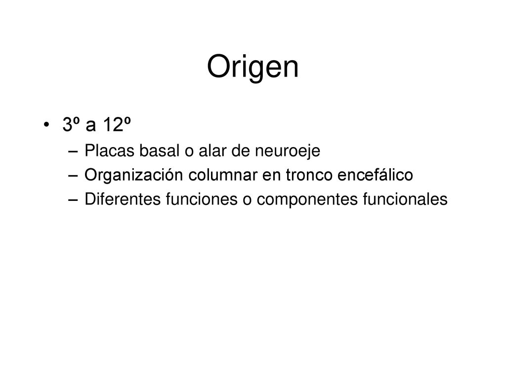 Origen 3º a 12º Placas basal o alar de neuroeje