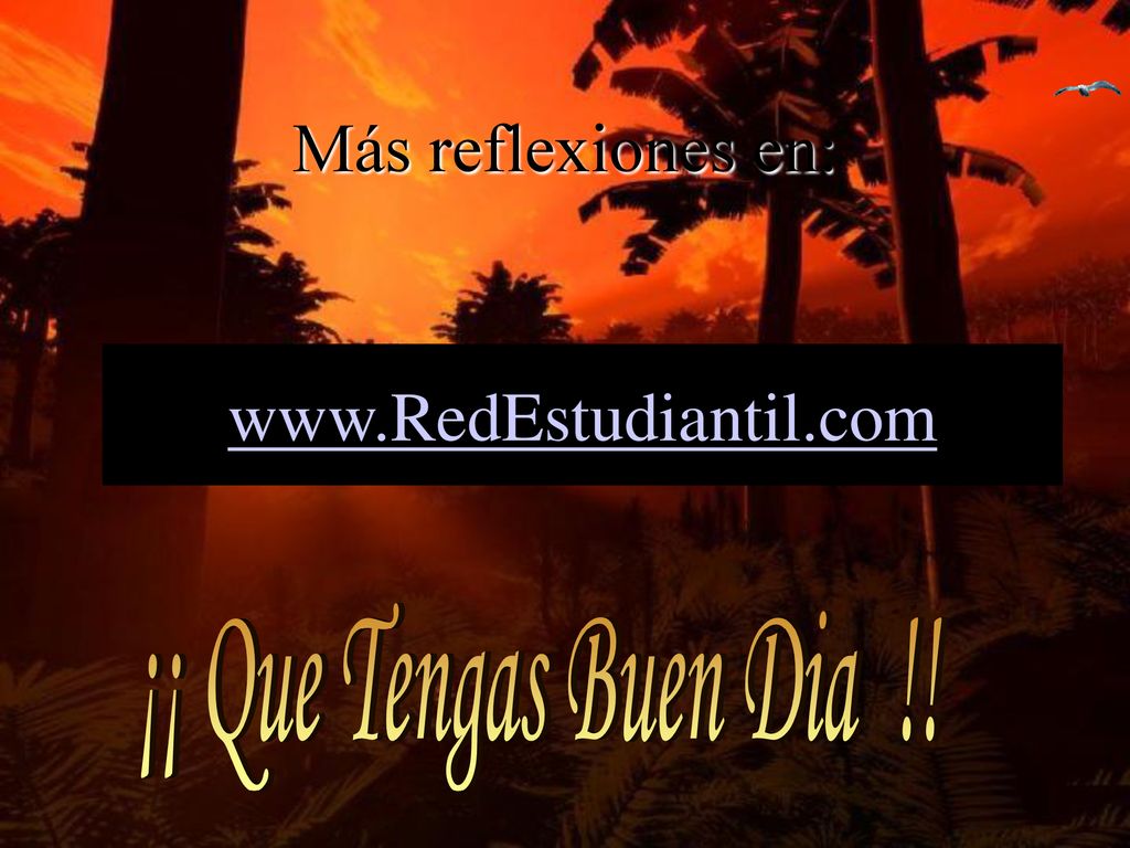 Más reflexiones en:   ¡¡ Que Tengas Buen Dia !!