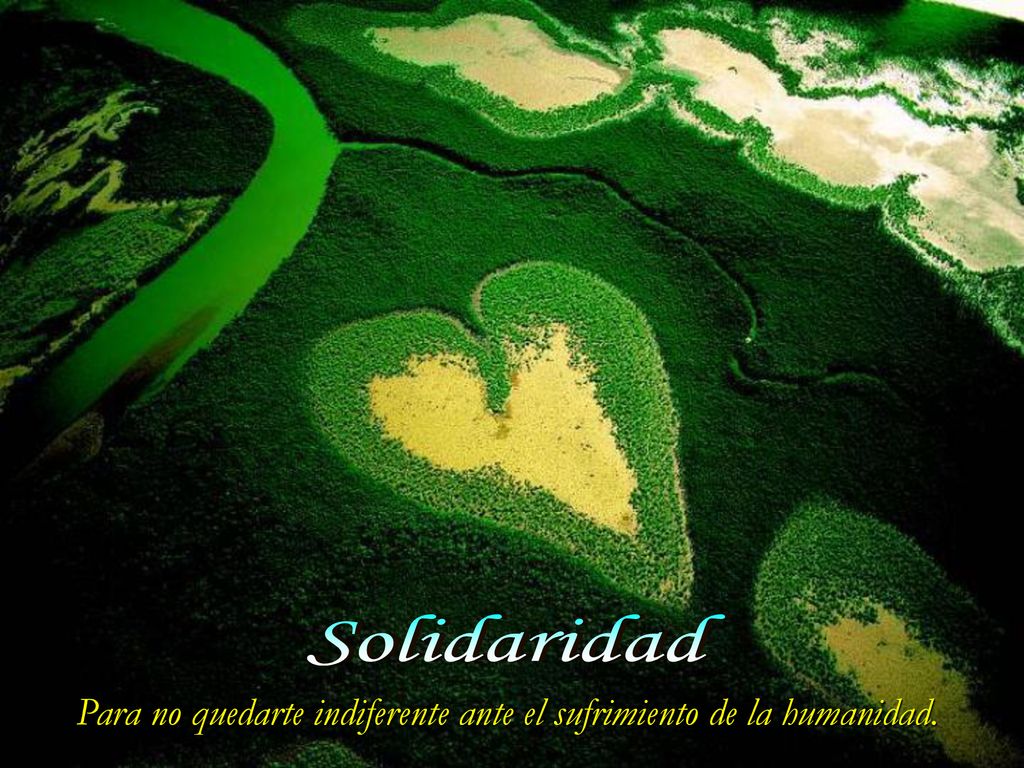 Para no quedarte indiferente ante el sufrimiento de la humanidad.