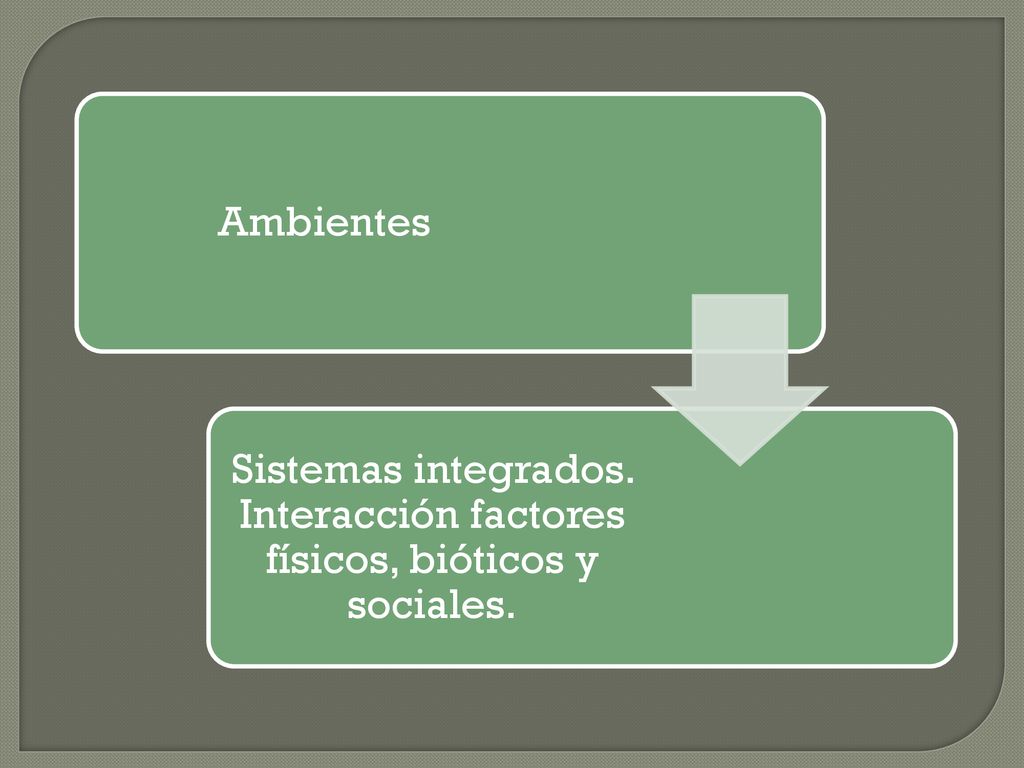 Ambientes Sistemas integrados. Interacción factores físicos, bióticos y sociales.