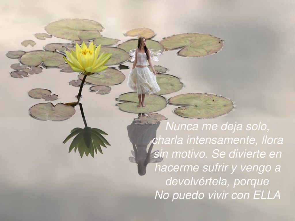 Nunca me deja solo, charla intensamente, llora sin motivo