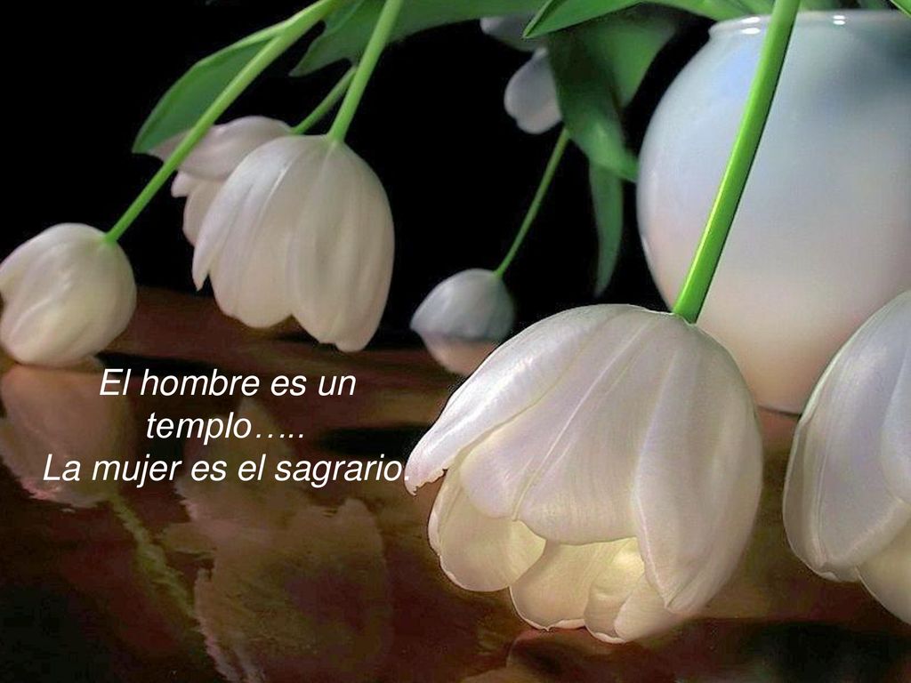 El hombre es un templo….. La mujer es el sagrario.
