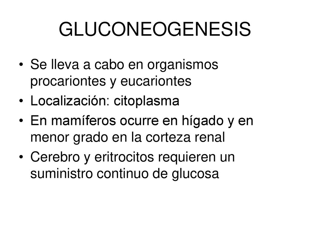 GLUCONEOGENESIS Se lleva a cabo en organismos procariontes y eucariontes. Localización: citoplasma.