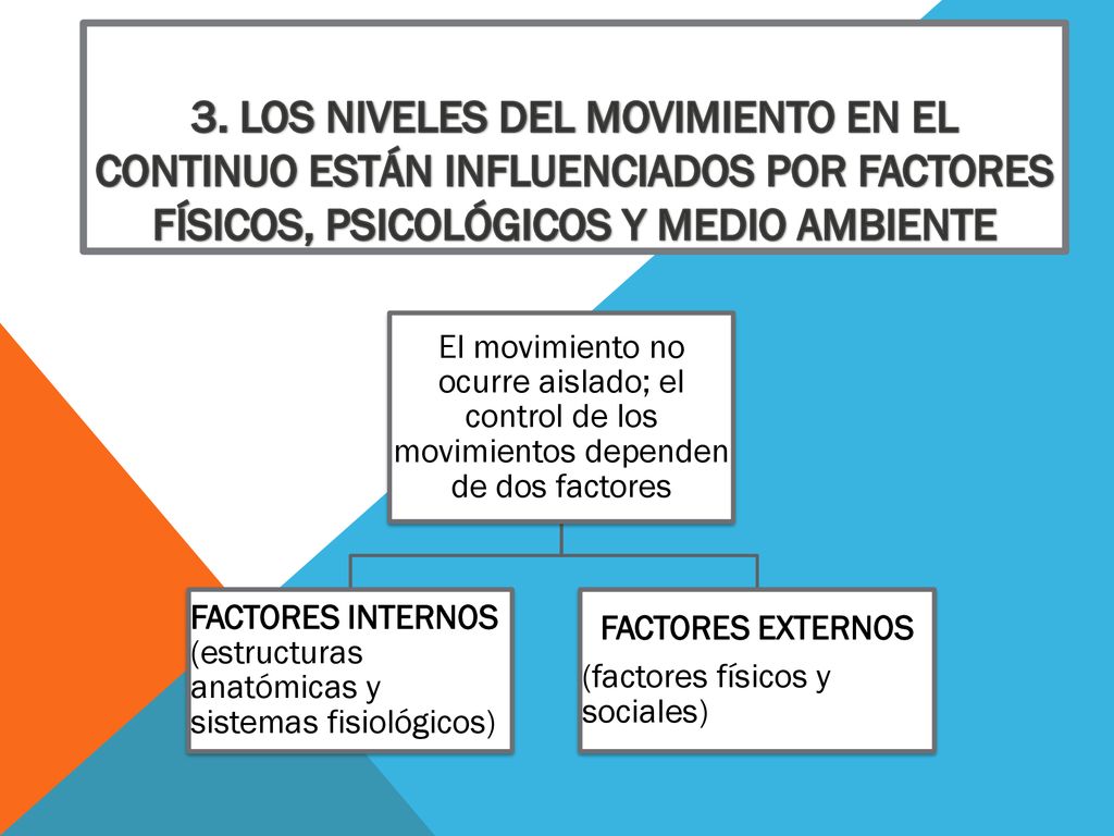 3. Los niveles del movimiento en el continuo están influenciados por factores físicos, psicológicos y medio ambiente