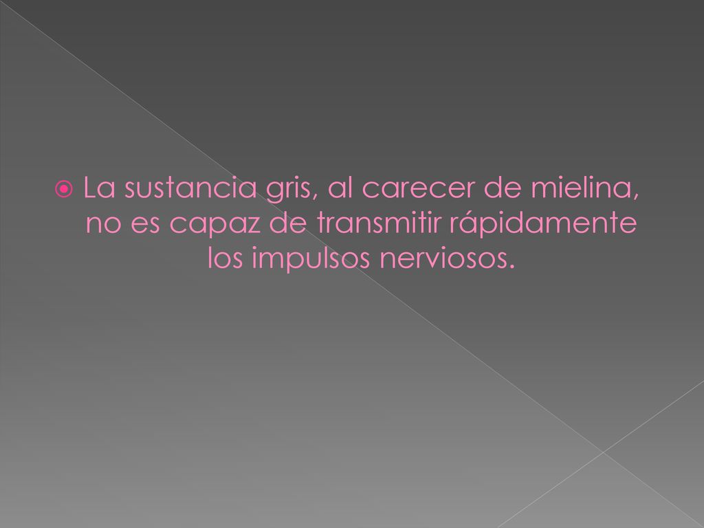 La sustancia gris, al carecer de mielina, no es capaz de transmitir rápidamente los impulsos nerviosos.